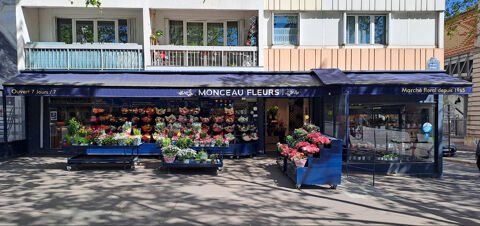 Commerces/Negoce 238000 75013 Paris