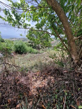  Terrain à vendre 1595 m²