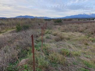  Terrain à vendre 9000 m²