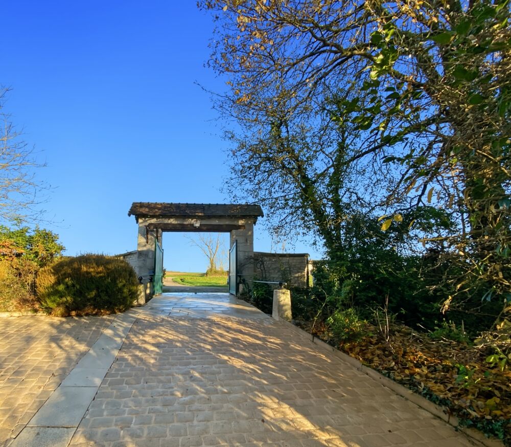 à vendre  Propriété/château Thuré (86540)