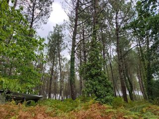  Terrain à vendre 40000 m²