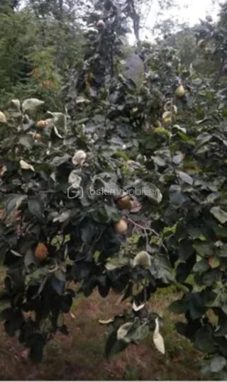  Terrain � vendre 11265 m�