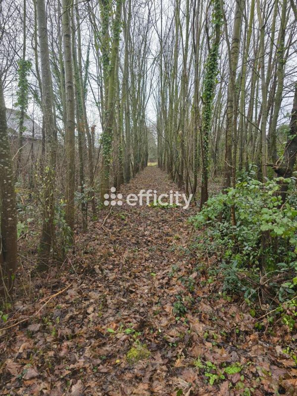 Vente Terrain Terrain Caulnes