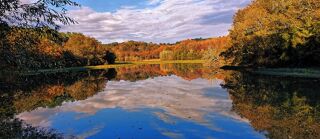  Propri�t�/ch�teau � vendre 6 pi�ces 174 m�