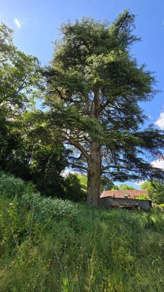  Terrain � vendre 2372 m�