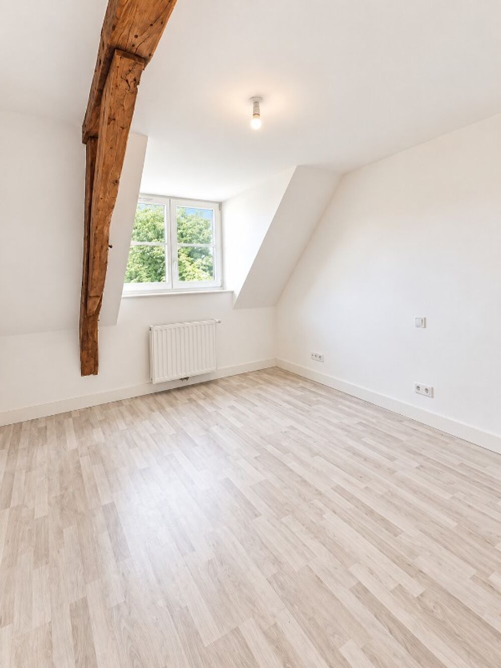 Location Appartement Appartement T3 avec cave à Lille Lille