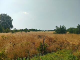  Terrain à vendre 56000 m²