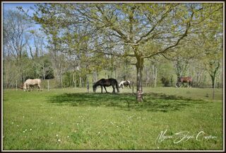  Propriété/château à vendre 7 pièces 223 m²