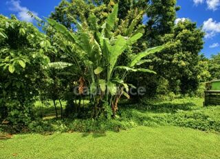 Vente Terrain A vendre - Terrain plat de 729 m² – Ajoupa-Bouillon – Secteur Adinet L ajoupa bouillon