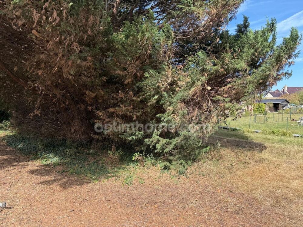 Vente Terrain Terrain à vendre de 7 000,00 m² WARHEM (59) Warhem