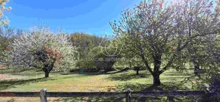  Propri�t�/ch�teau � vendre 15 + pi�ces 430 m�