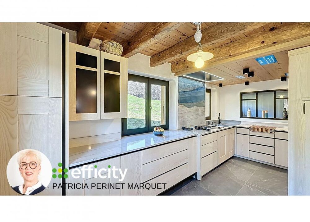  vendre  Chalet Megve (74120)