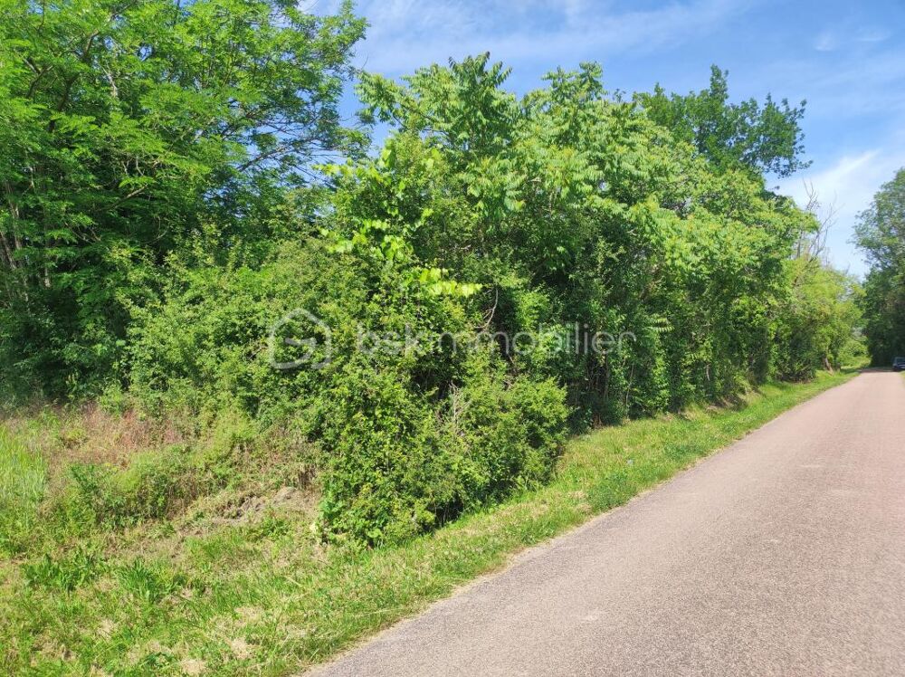 Vente Terrain ? Terrain constructible de 3 630 m² – Cadre boisé et environnement privilégié Saint florentin