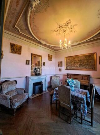  Propriété/château à vendre 12 pièces 297 m²