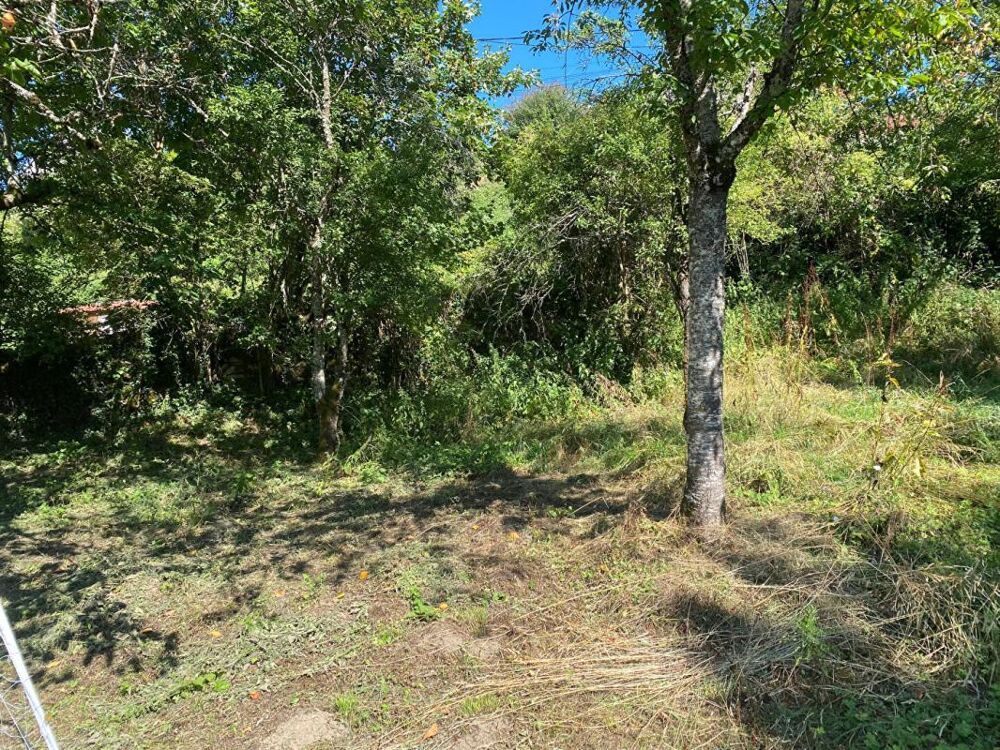 Vente Terrain Terrain constructible 1294 m2 Grenant les sombernon