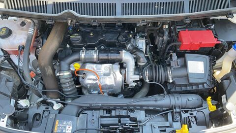 Transit 1.5 TDCI 100ch Stop&Start Trend Business Sport 2022 occasion 83600 Frejus