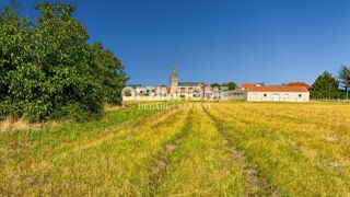  Terrain  vendre 800 m