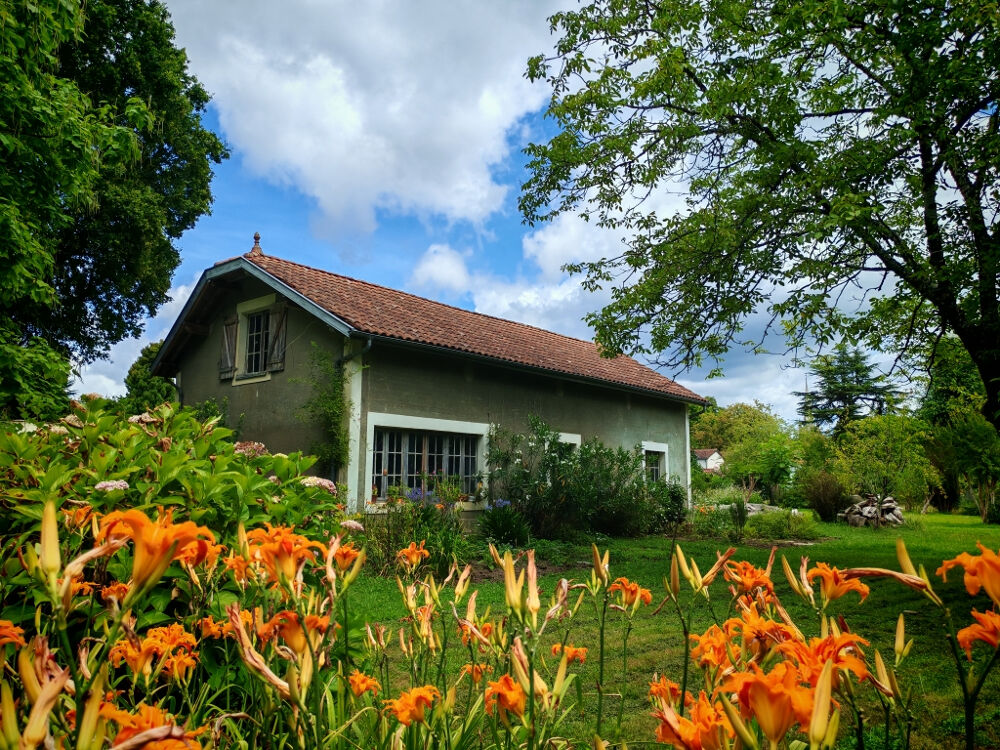 Vente Maison Maison  de maitre Pouillon  376 m2 Centre Village Pouillon
