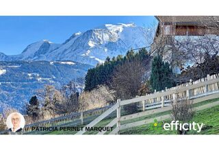  Chalet � vendre 14 pi�ces 435 m�
