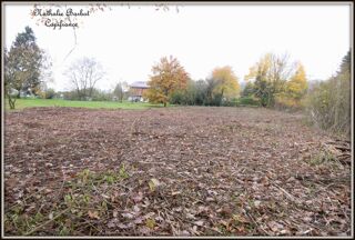  Terrain  vendre 770 m