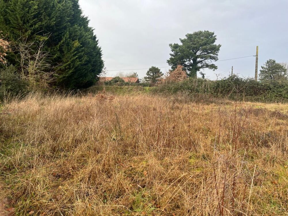 Vente Terrain Terrain Talmont saint hilaire