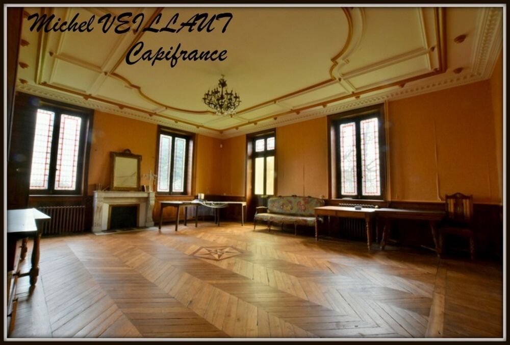 Propriété à vendre avec bâtisse de 15 pièces, 2 gîtes, terrain 7390 m², VILLENEUVE SUR ALLIER (03)