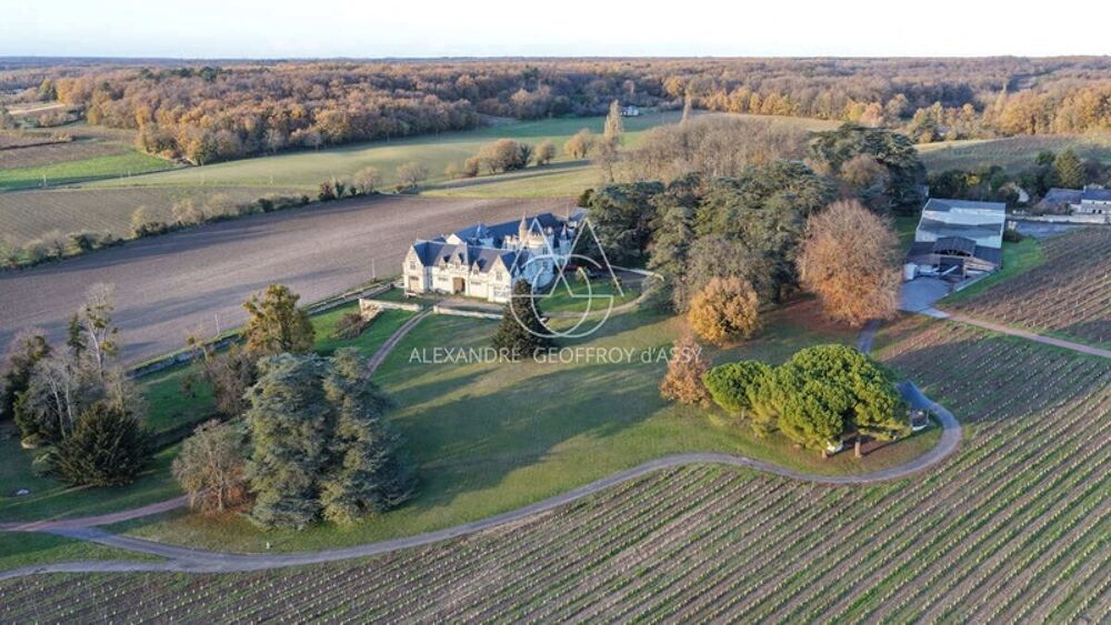 � vendre  Propri�t�/ch�teau Chinon (37500)