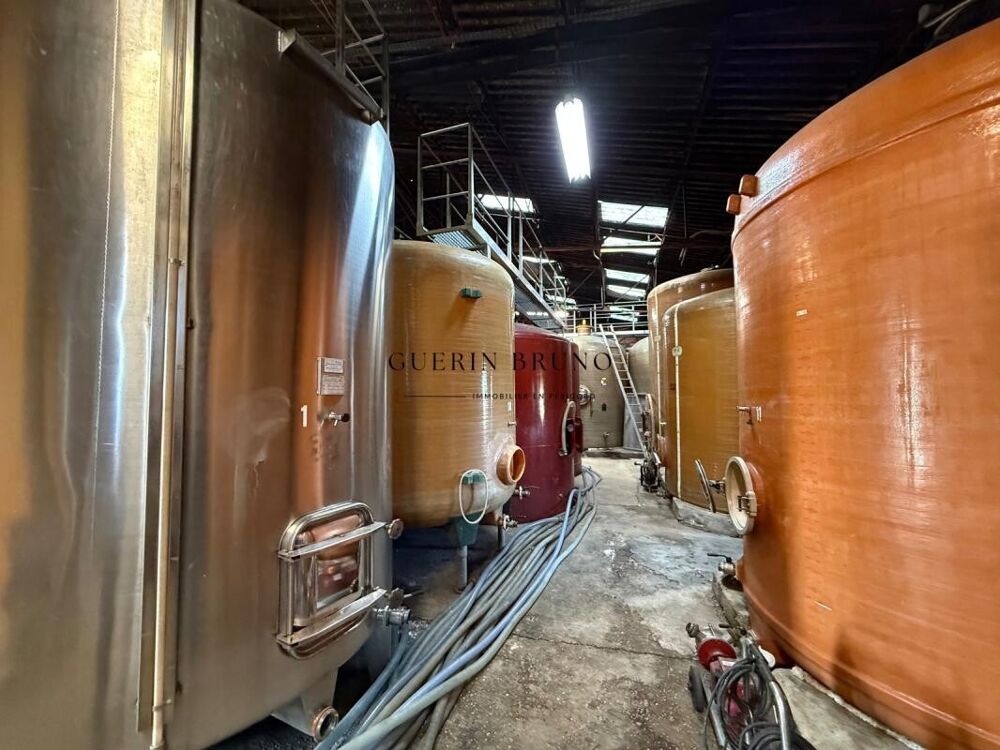 PROPRIÉTÉ VITICOLE EN APPELLATION MONBAZILLAC