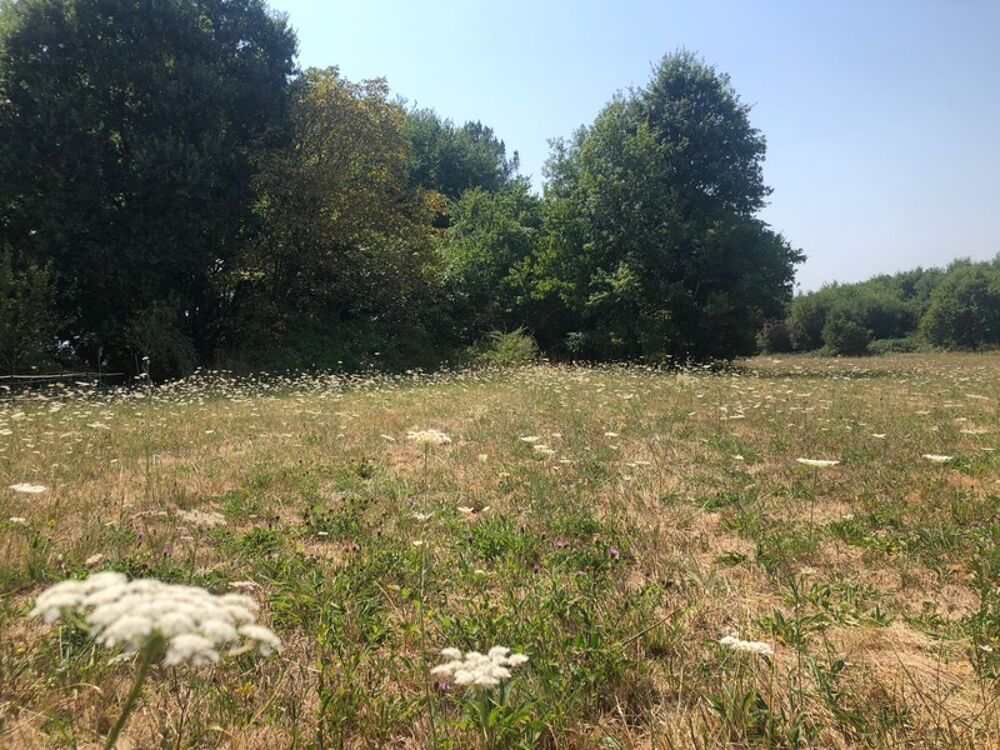 Vente Terrain Terrain constructible 1 762,00 m² SAINT FRONT DE PRADOUX (24) Saint front de pradoux