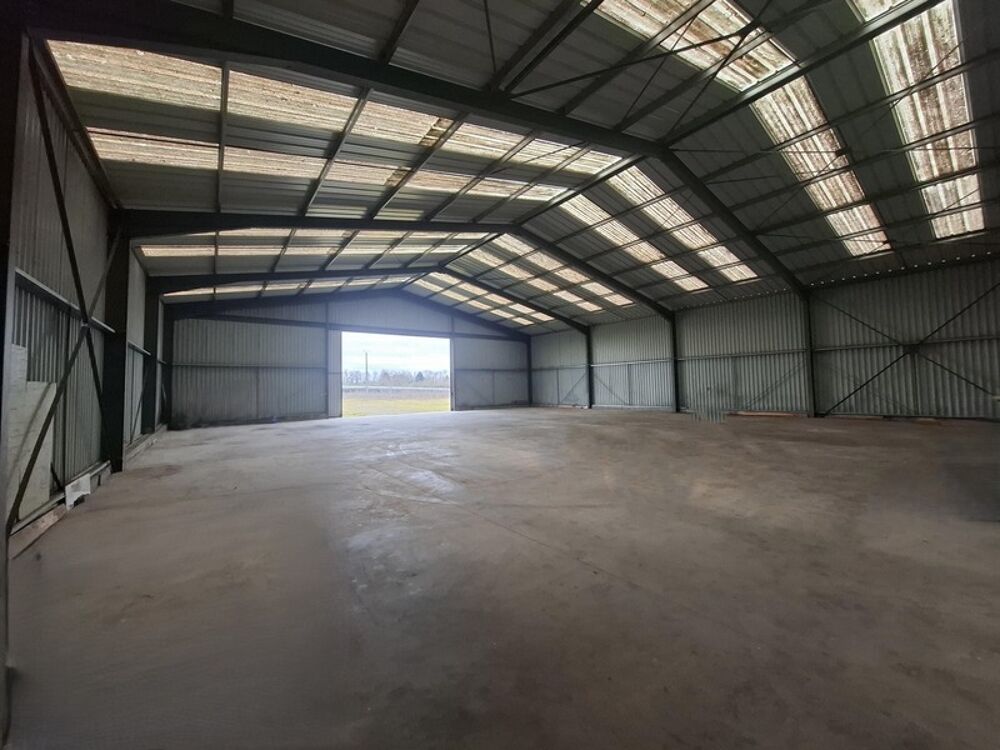   Entrepôt/Local d'activité/bureau - VARENNES SUR ALLIER (03150) - 395 000 euros 