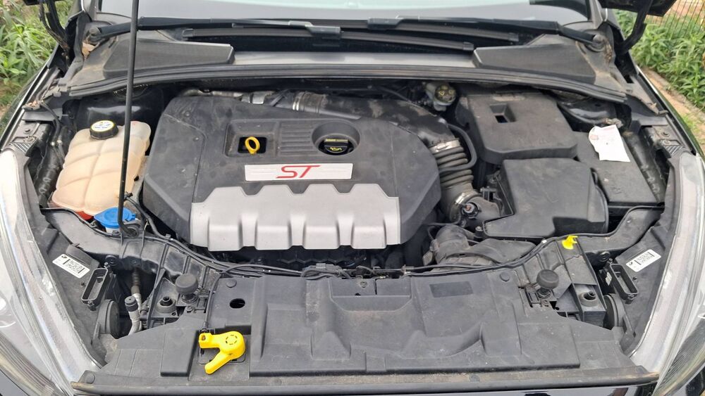 Focus SW 2.0 EcoBoost 250 ST 2016 occasion 67540 Ostwald