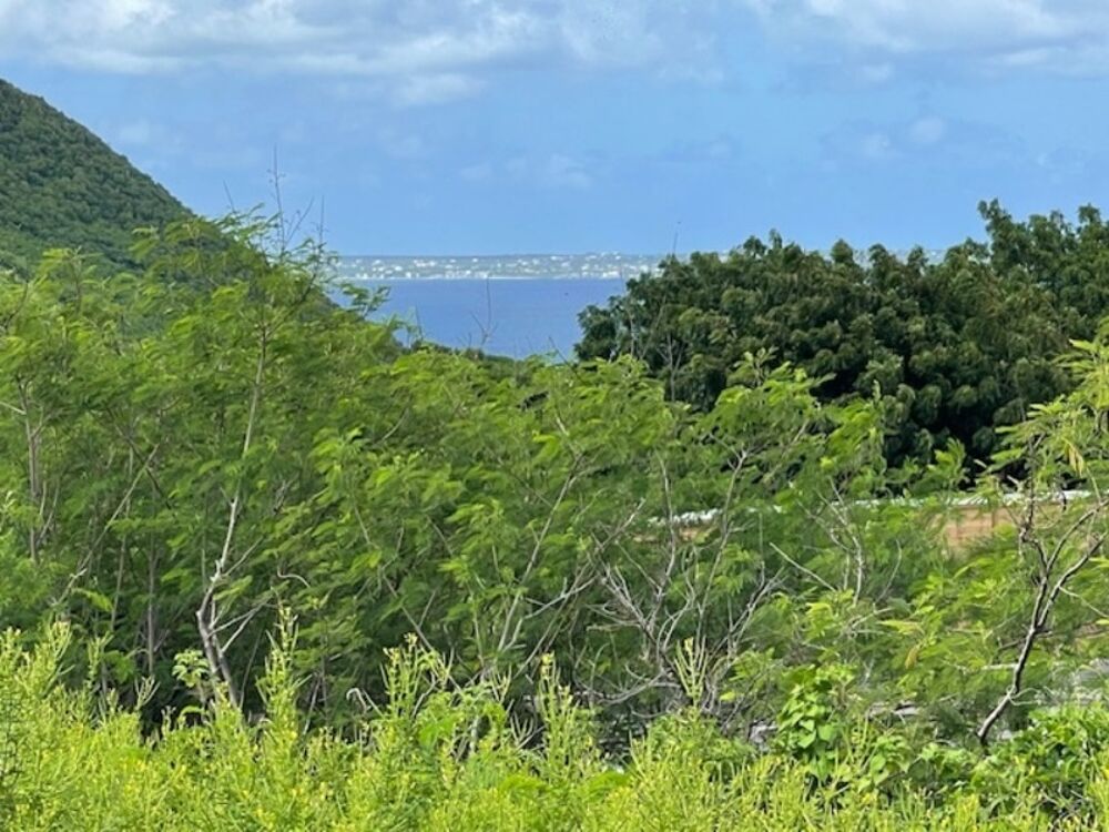 Vente Terrain TERRAIN CONSTRUCTIBLE À VENDRE AVEC VUE MER ET MARINA D'ANSE MARCEL, SAINT MARTIN (97150) Saint martin