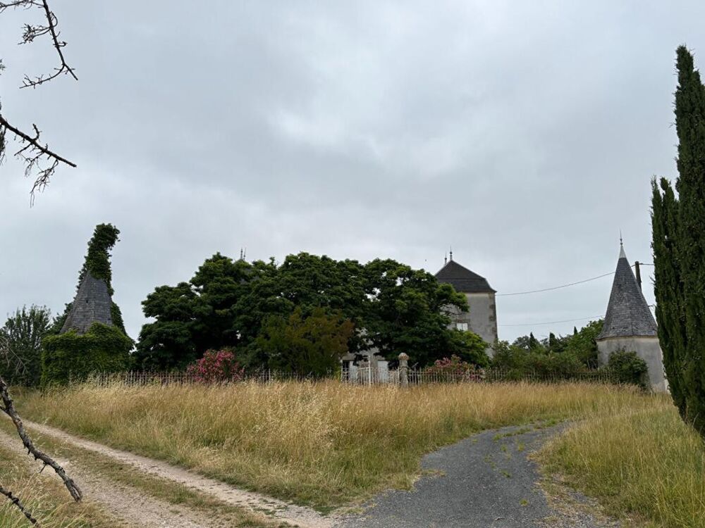 Château confidentiel à Massugas, dominant les côteaux, entre Pellegrue et Sauveterre de Guyenne