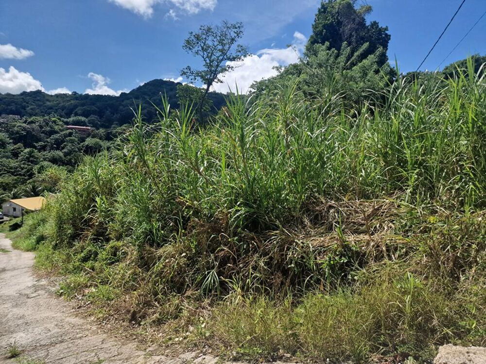 Vente Terrain Terrain  585 m2 Le vauclin