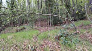  Terrain � vendre 16225 m�