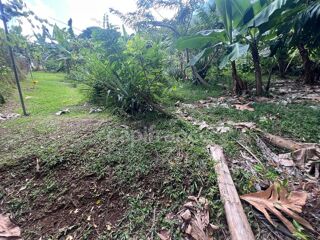  Maison � vendre 2 pi�ces 36 m� Le lamentin