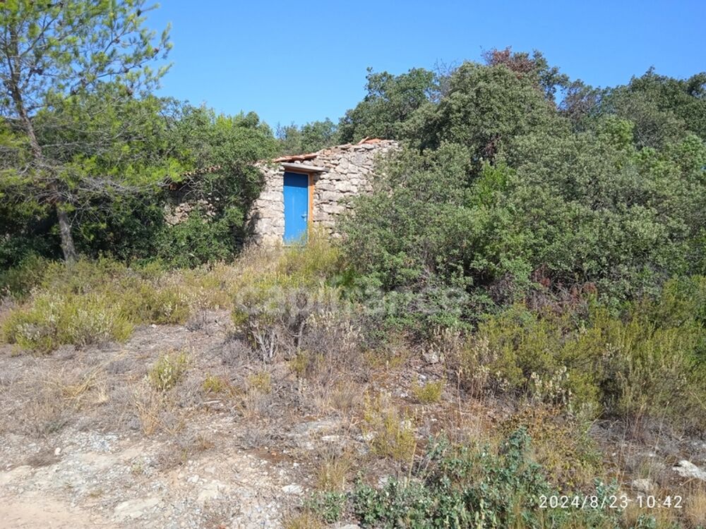 Vente Terrain POUR LES AMOUREUX DE LA NATURE,TERRAIN AGRICOLE D'ENVIRON 3HA Aigne
