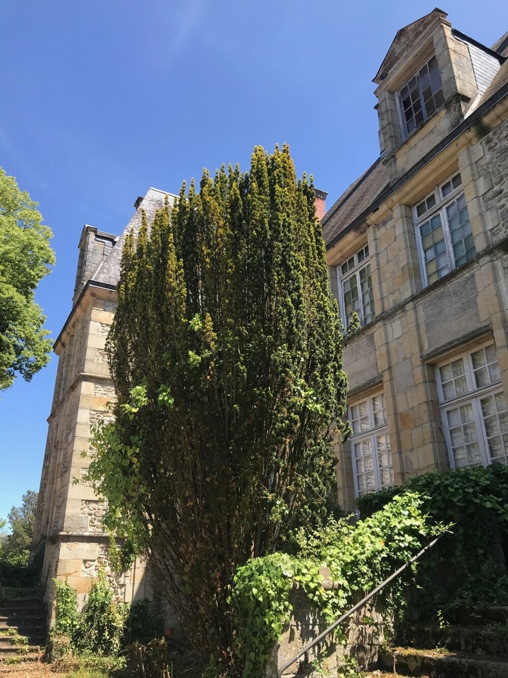 Vente Propriété/Château Château à VIERZON (18) Vierzon