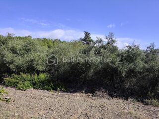  Terrain � vendre 2420 m�
