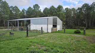  Terrain  vendre 10000 m