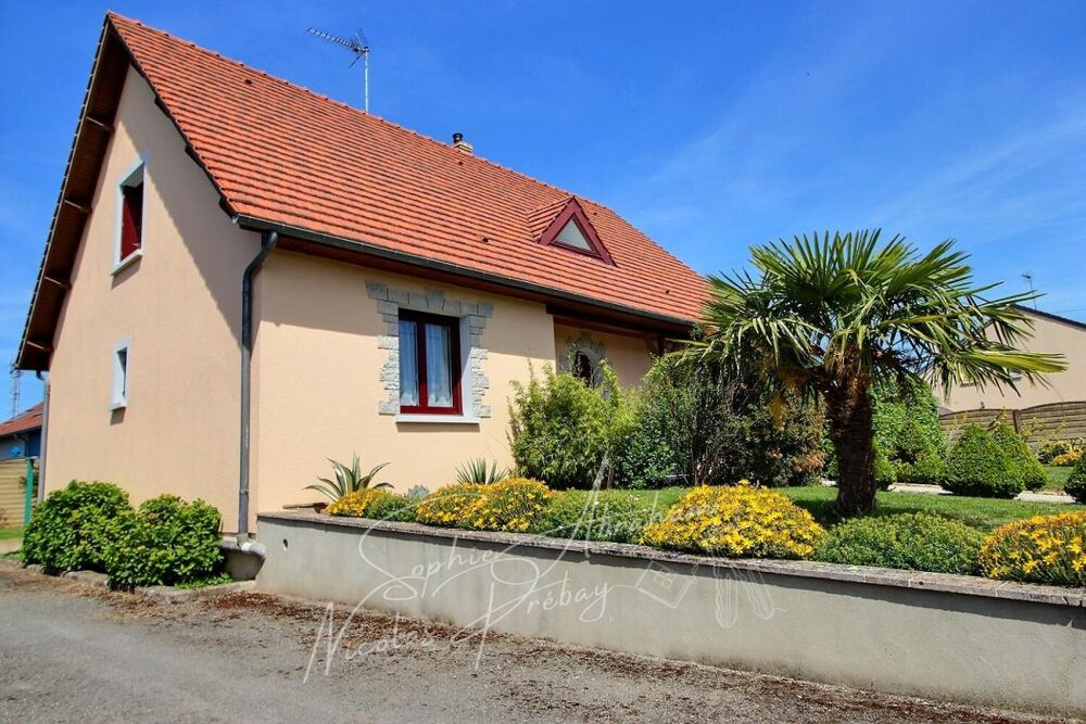 Maison individuelle avec sous-sol et jardin