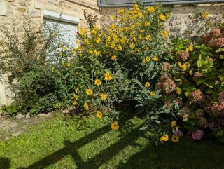  Maison  vendre 6 pices 160 m