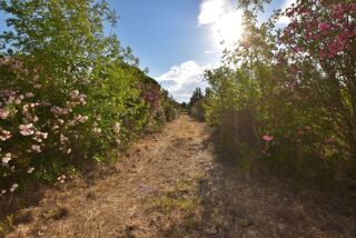  Maison � vendre 2 pi�ces 32 m�