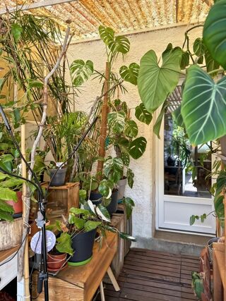  Maison à vendre 3 pièces 77 m²