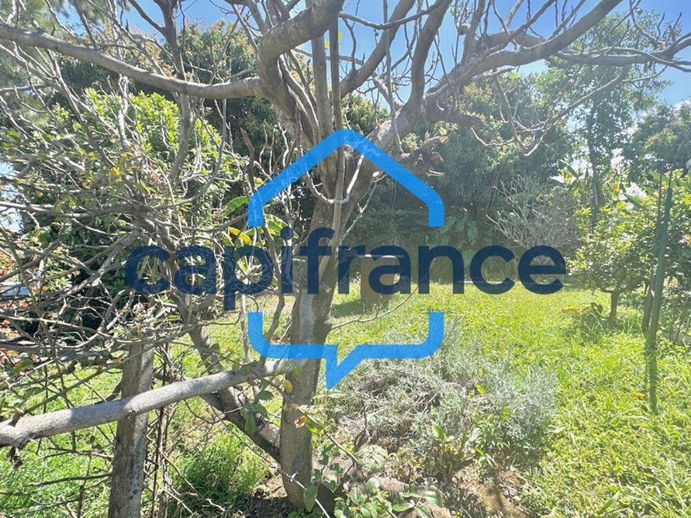 Vente Terrain ? À VENDRE – TERRAIN CONSTRUCTIBLE 447 m² + SERVITUDE – LIGNE DES BAMBOUS, SAINT-PIERRE (97410) ? Saint pierre