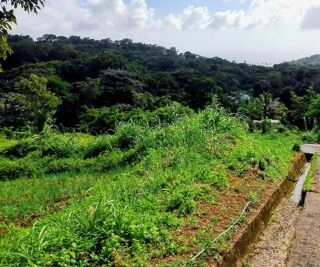  Terrain � vendre 1551 m�