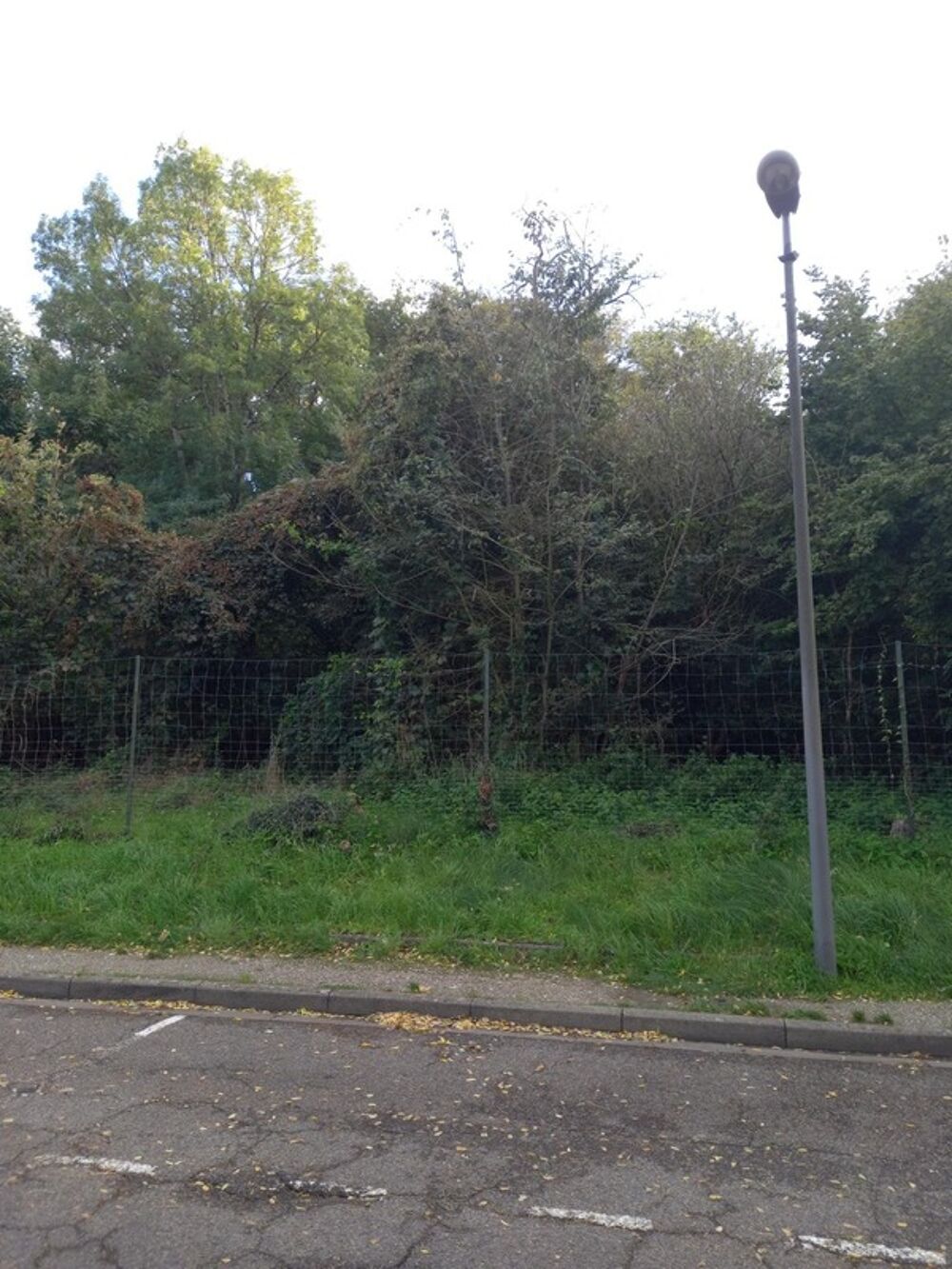 Vente Terrain Terrain � vendre de 867,00 m� NEMOURS (77) Nemours