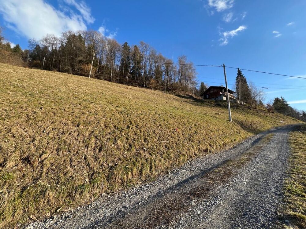 Vente Terrain Terrain constructible aux portes du Beaufortain Queige