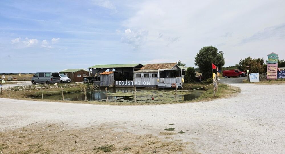   ILE D'OLÉRON emplac N°1, AV Murs 321m², marais 1,2ha et Fonds aquacole de production & dégustation de fruits de mer 
