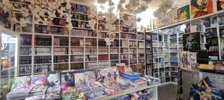  Immeuble � vendre 10 pi�ces 210 m�